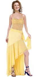 Chiffon and Net makes This Dress Simply Ravishing